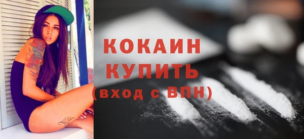 Альфа ПВП Горняк
