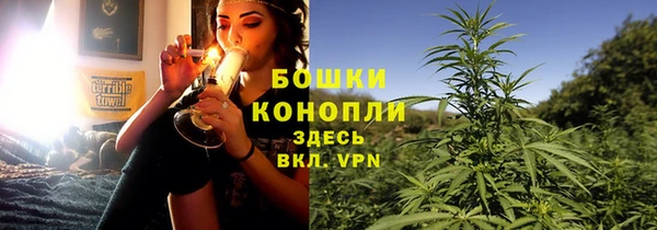 Альфа ПВП Горняк