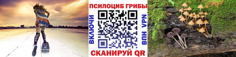 Галлюциногенные грибы GOLDEN TEACHER  цены   Ершов 