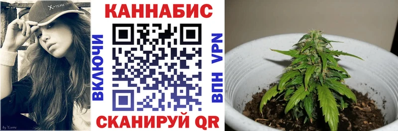 Каннабис ГИДРОПОН  ОМГ ОМГ зеркало  Ершов 